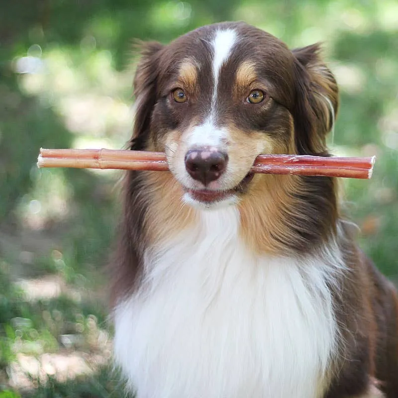 100% Natural Brazilian Bully Sticks - 1 lb Bag