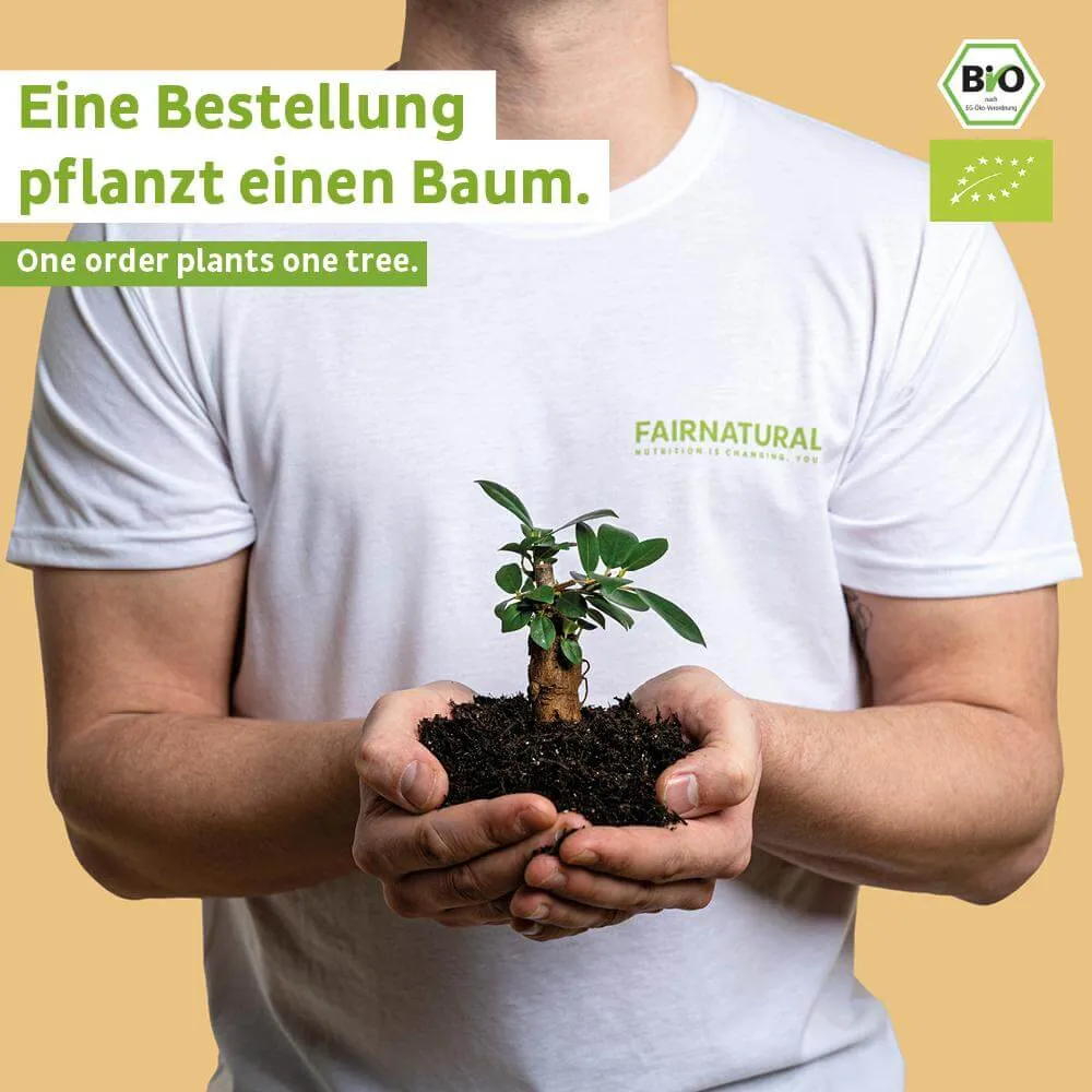 Bio Vegan Proteinriegel Schoko Einzelriegel