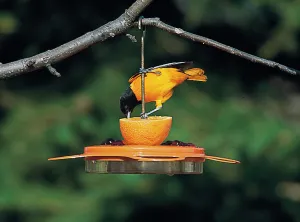 BirdsChoice Oriole Fest Feeder