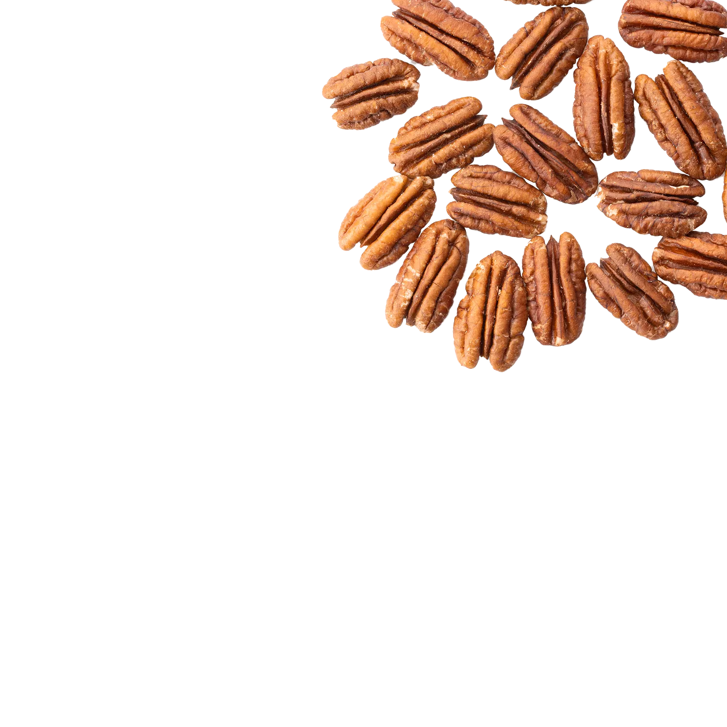 Chopped Pecans