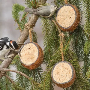 Coconut Suet Feeder, Set of 3