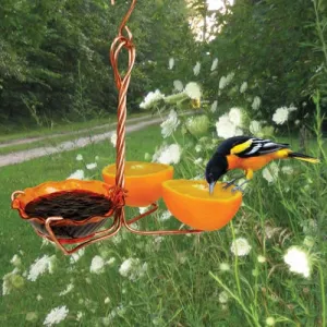 Copper Oriole Fruit & Jelly Feeder