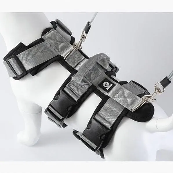 Double D-Ring Escape-Proof Harness