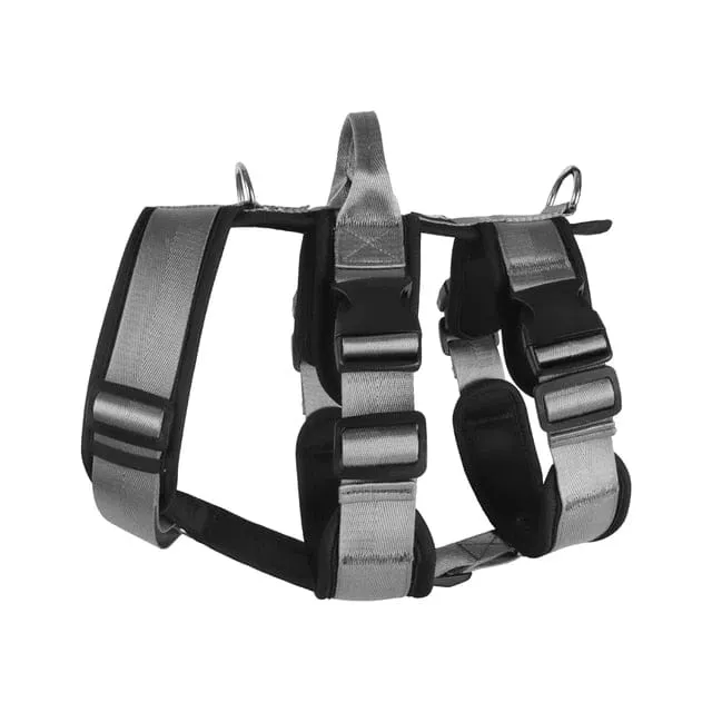 Double D-Ring Escape-Proof Harness