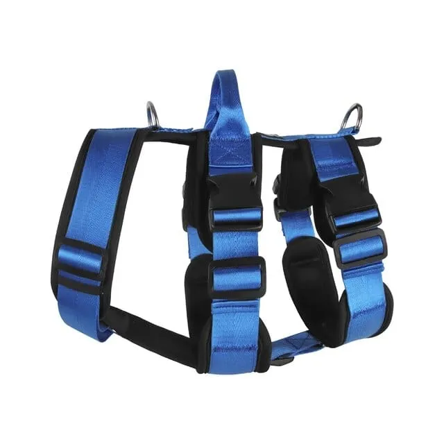 Double D-Ring Escape-Proof Harness