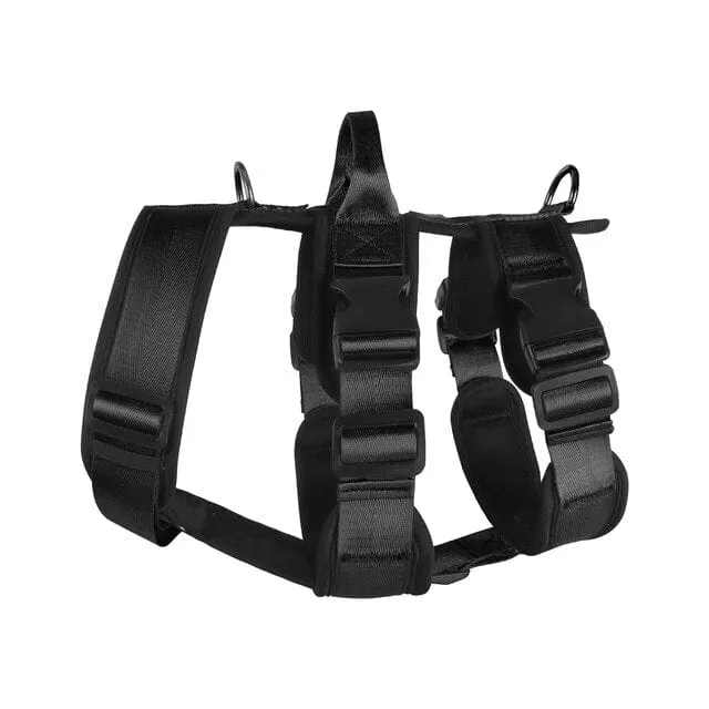 Double D-Ring Escape-Proof Harness