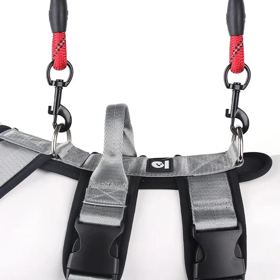 Double D-Ring Escape-Proof Harness