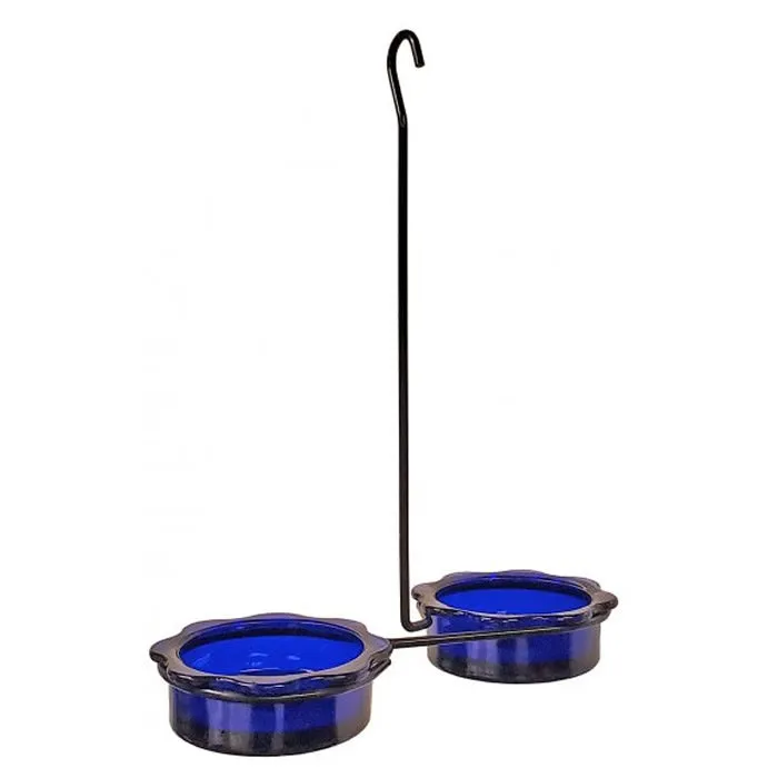 Double Dish Bluebird Feeder