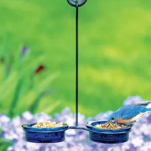 Double Dish Bluebird Feeder