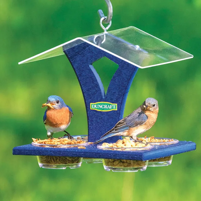 Duncraft Bluebird Best View Feeder