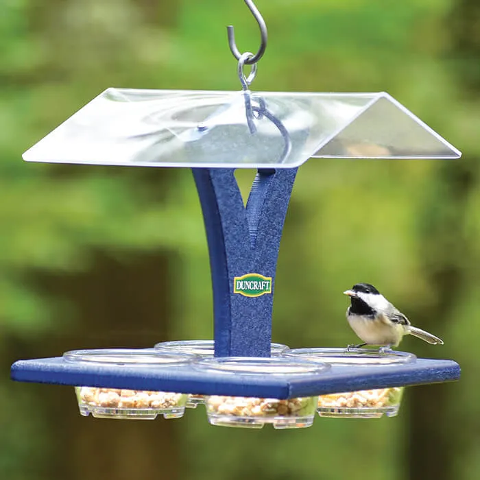 Duncraft Bluebird Best View Feeder