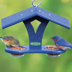 Duncraft Bluebird Mealworm Banquet