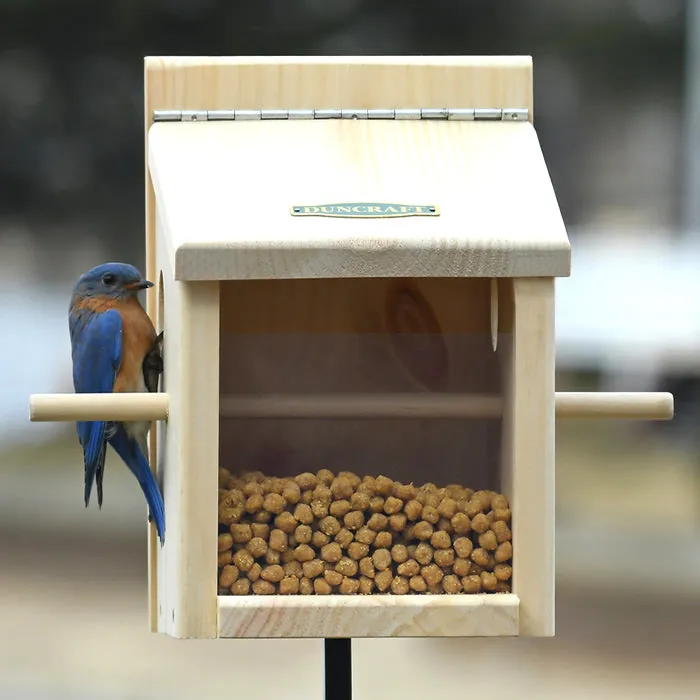 Duncraft Bluebird Move-A-Round Feeder & Pole