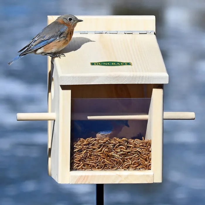 Duncraft Bluebird Move-A-Round Feeder & Pole