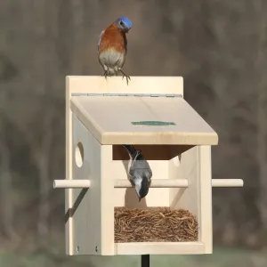 Duncraft Bluebird Move-A-Round Feeder & Pole