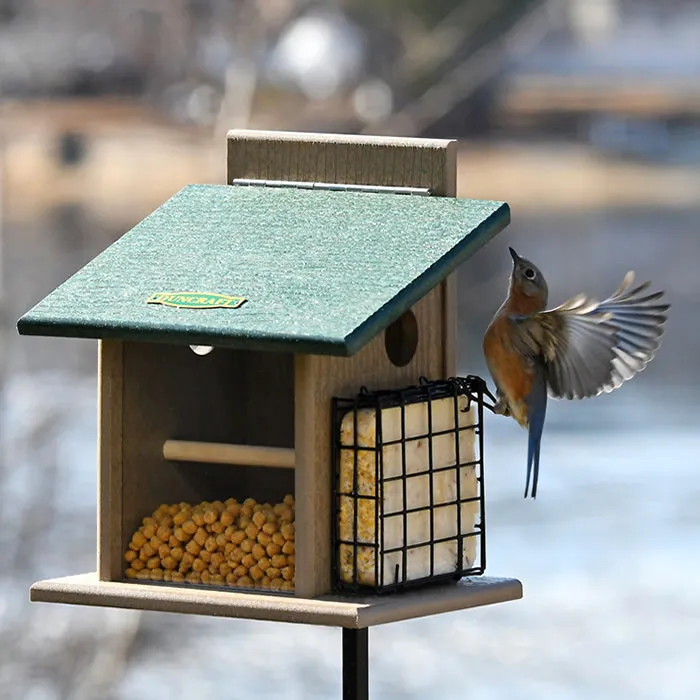 Duncraft Bluebird Step-N-Set Feeder & Pole