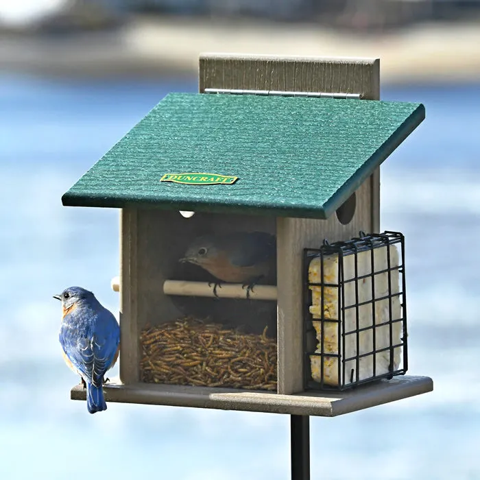 Duncraft Bluebird Step-N-Set Feeder & Pole