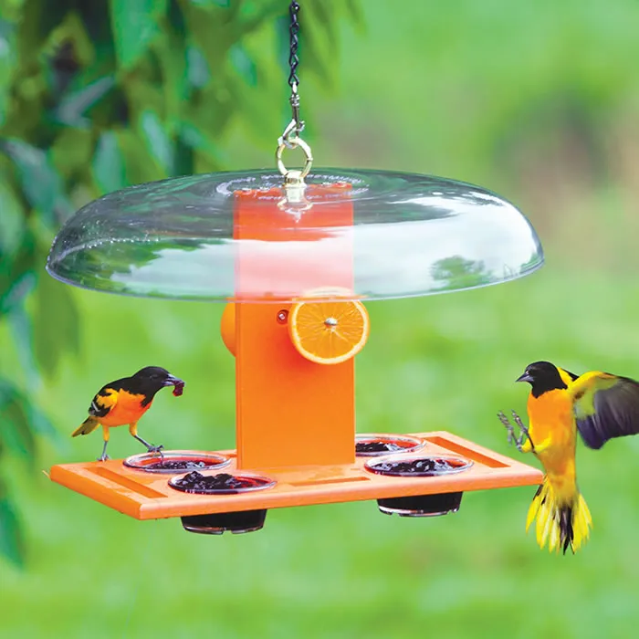 Duncraft Deluxe Oriole Jelly Feeder