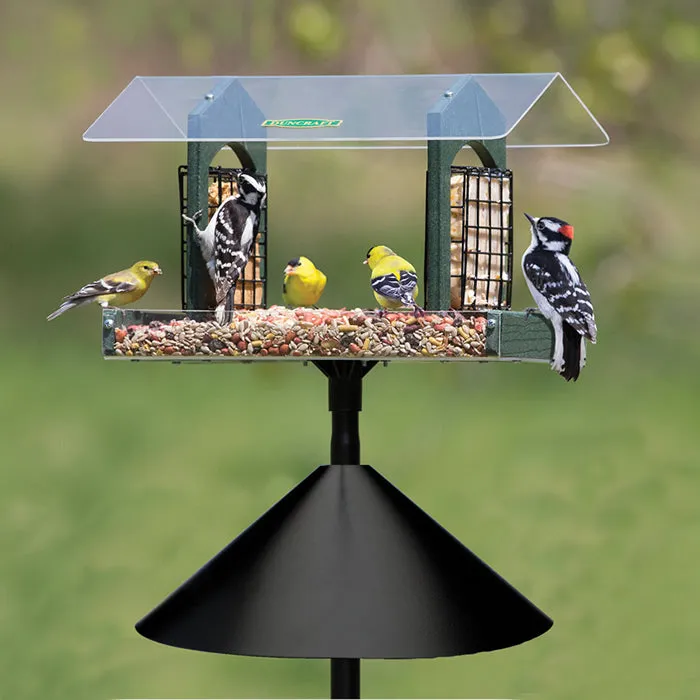 Duncraft Double Delight Squirrel-Proof Feeding Station