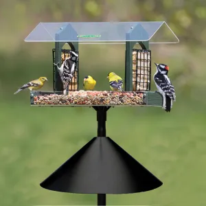 Duncraft Double Delight Squirrel-Proof Feeding Station